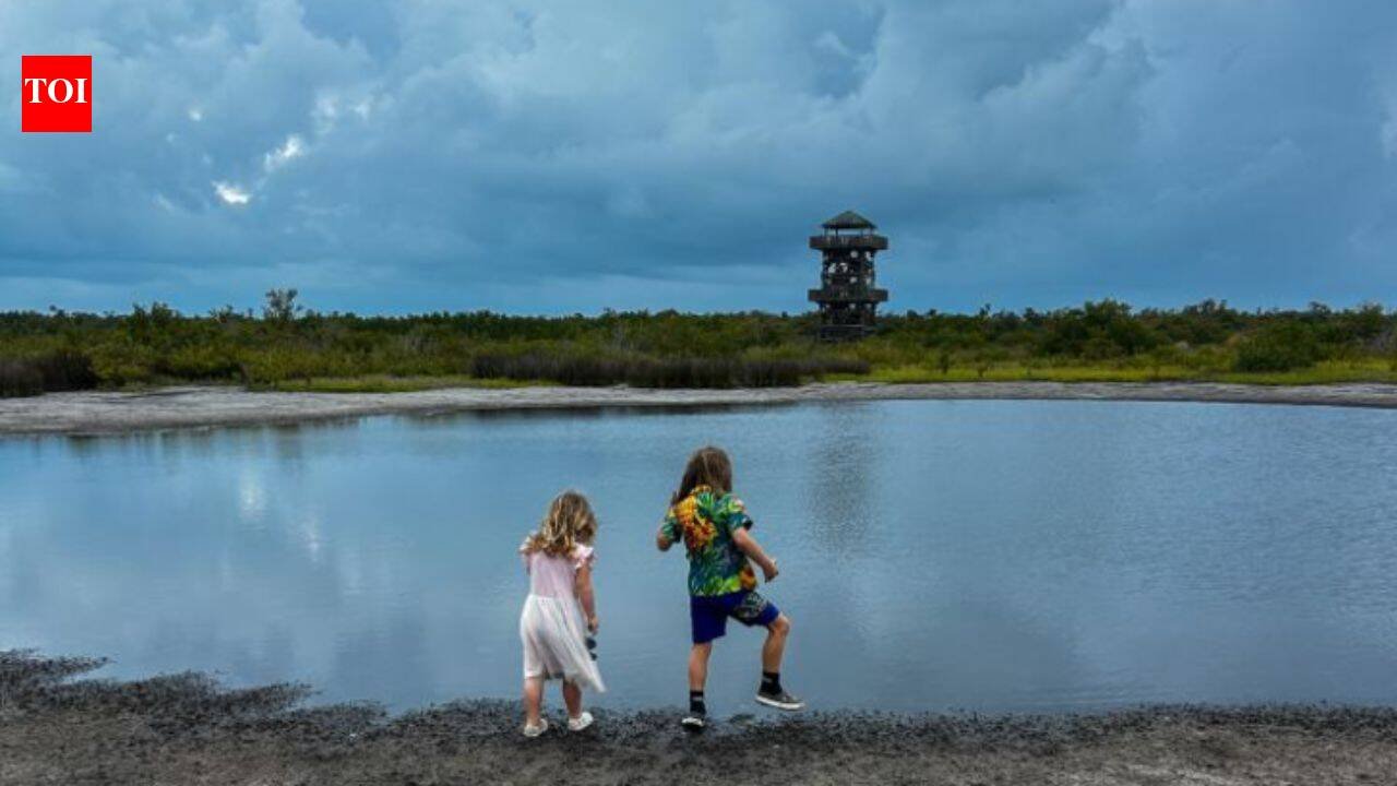 Florida spent about $17 million transforming degraded farmland near Tampa Bay into Robinson Preserve, a 700-acre coastal refuge that now draws about 240,000 visitors annually