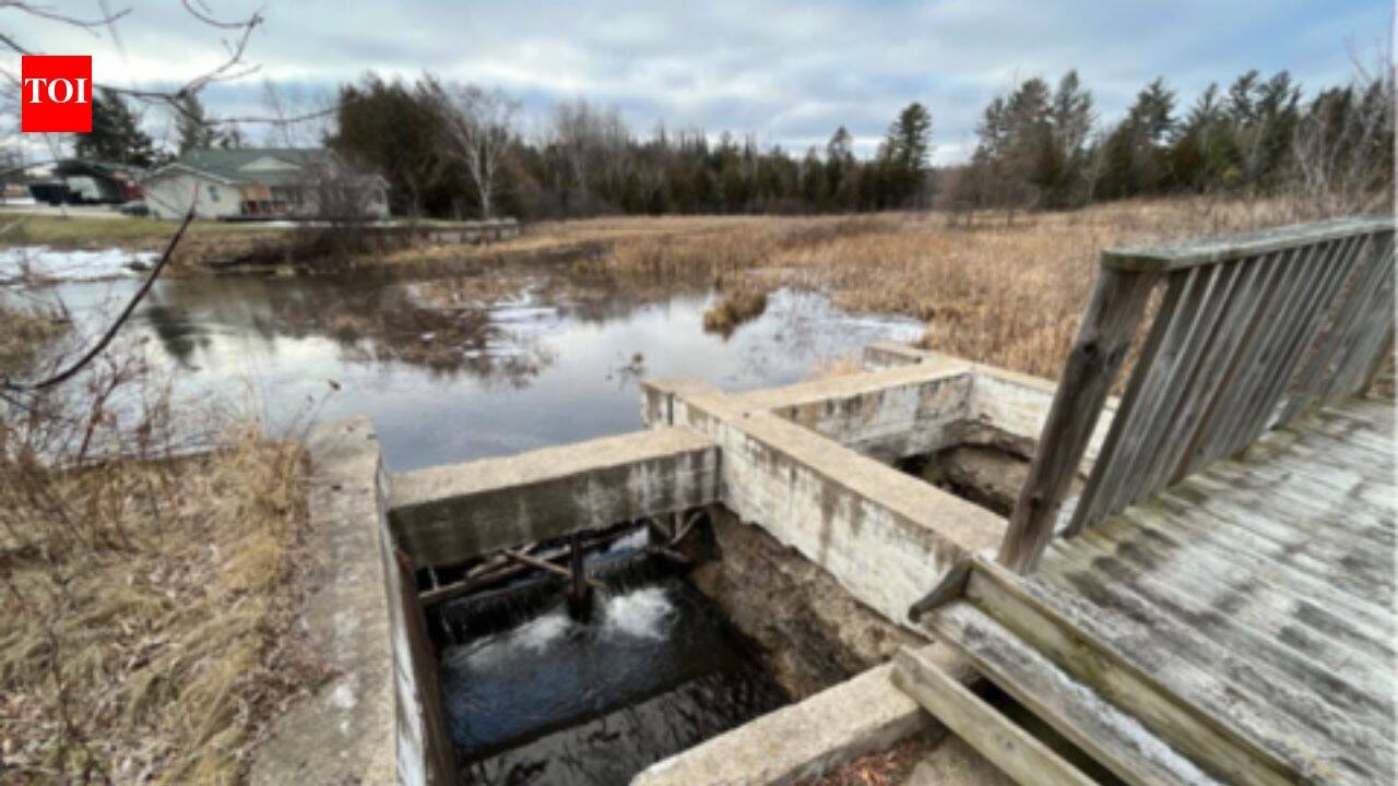 Michigan plans to remove the century-old Sanback Dam in 2026, reopening a half-mile of cold-water stream, restoring 14 wetland acres and protecting more than 70 downstream miles