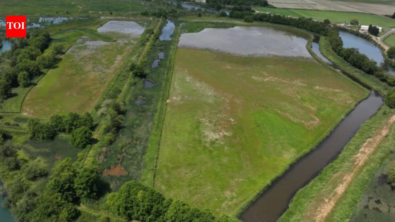 Washington began a two-year project to restore 270 acres in the South Fork Skagit estuary, reconnecting two islands to natural tidal habitat