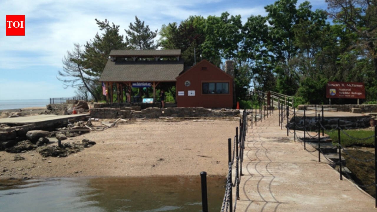 In 1964, Elizabeth Hird and her husband bought Connecticut’s Outer Island; in 1995 she donated it in his memory so it could remain protected for wildlife, research and education
