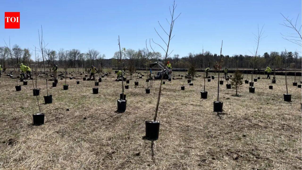 A 112-acre New Jersey restoration project is planting about 50,000 native trees and shrubs, creating vernal pools and rebuilding Raritan River floodplain habitat