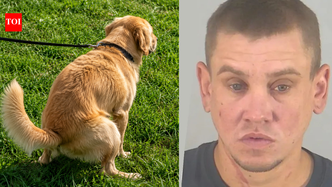Florida man arrested after throwing dog poop at neighbour over uncleared mess and threatening him with a child’s scooter | World News
