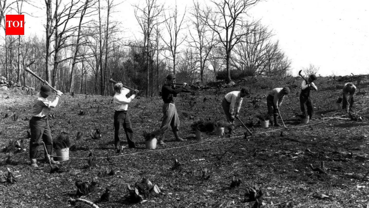 In 1943, Franklin Roosevelt gave his family home and 33 acres to the US government while retaining family rights to live there; he had expanded the estate to nearly 1,500 acres and planted over 500,000 trees