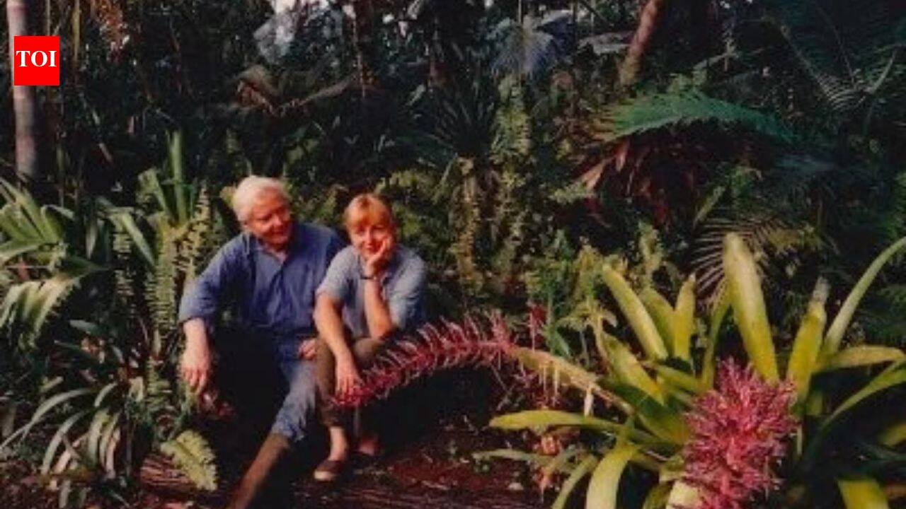 In the 1970s, Pulitzer Prize-winning poet W.S. Merwin and his wife Paula bought a barren piece of land in Hawaii; planting one sapling at a time, they transformed the wasteland into a 19-acre forest with more than 3,000 palms