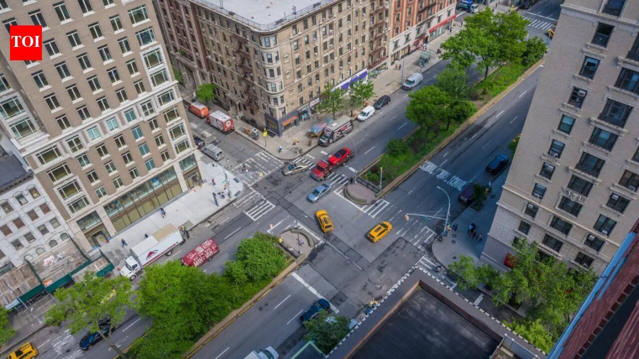 Between six lanes of Manhattan traffic, Broadway’s medians are being replanted with native species to create a five-mile corridor for birds and bees