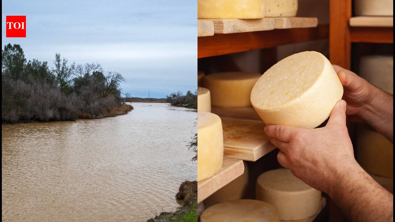 In 1982, a California cheese maker donated thousands of acres from his dairy ranch; 44 years later crews removed his old cattle levees and reconnected the San Joaquin River to 220 acres of floodplain