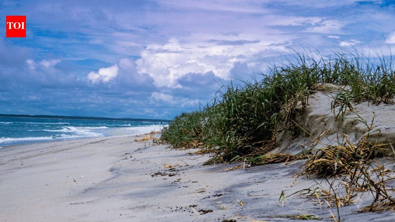 In the early 1960s, developers sold 5,850 lots for a private resort on Assateague Island; one five-day storm wiped out nearly every house and helped turn it into a national seashore