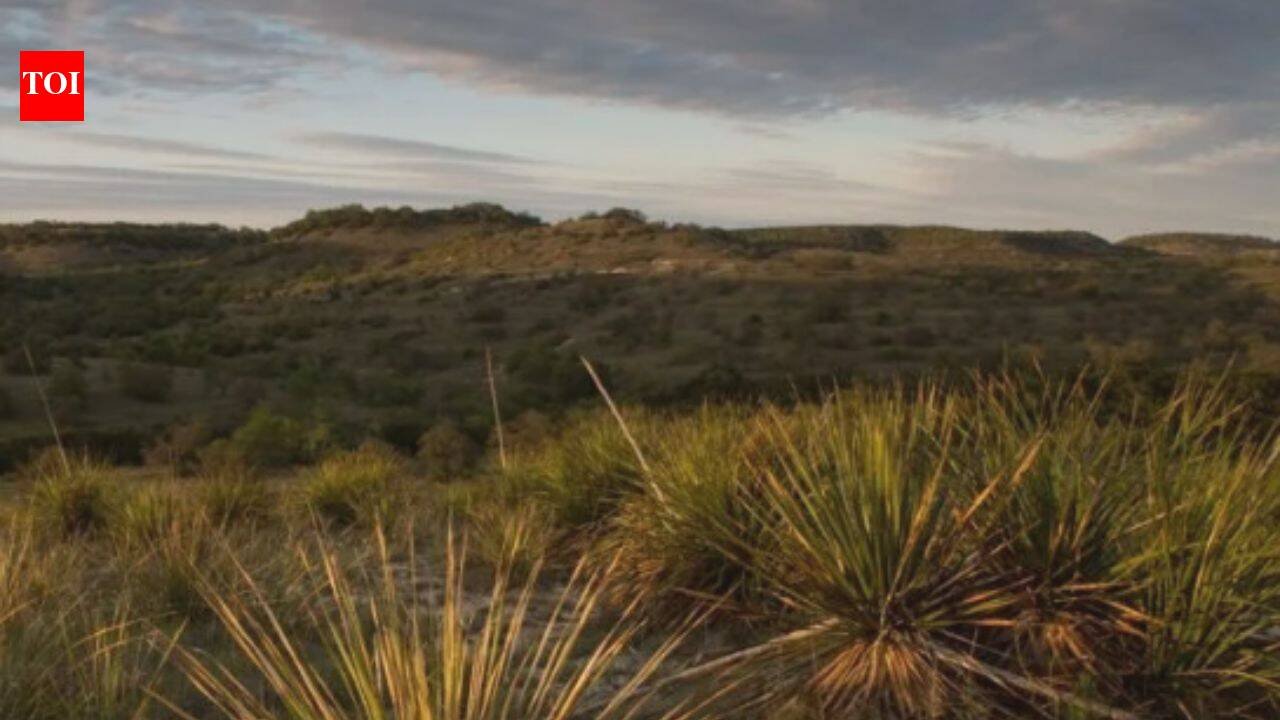 In 1969, a Church’s Fried Chicken co-founder bought 3,000 acres of neglected Texas ranchland; decades of restoration brought long-absent springs and flowing water back