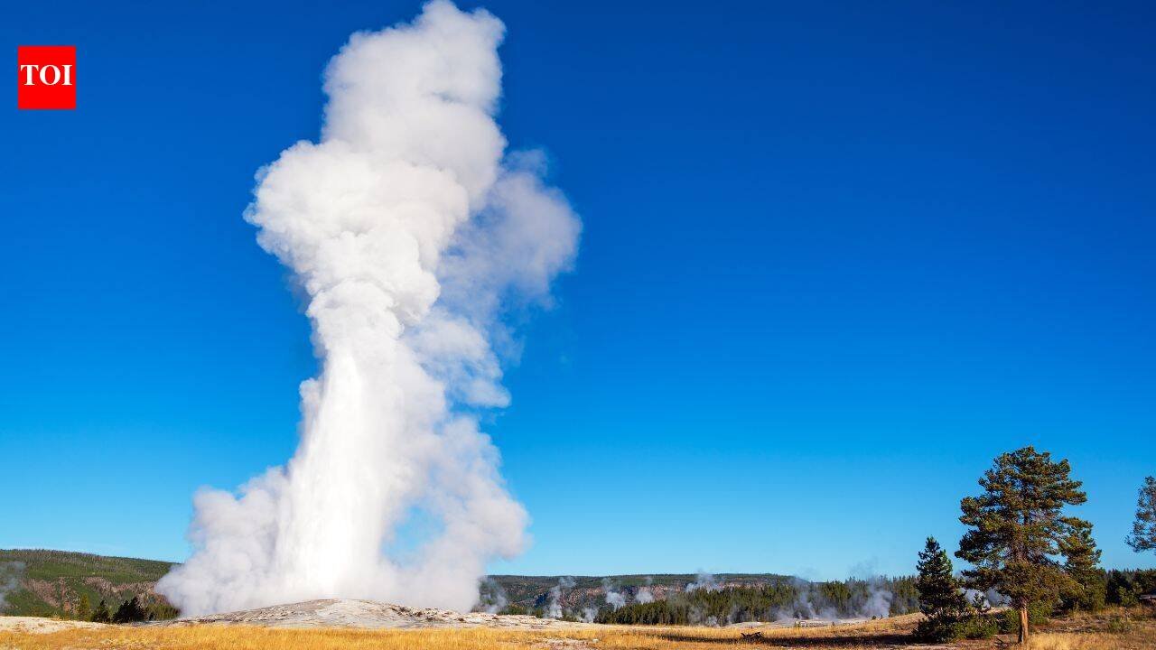 Scientists planted 133 portable seismometers around Yellowstone’s Old Faithful for two weeks; tiny ground vibrations revealed an underground hot-water reservoir holding about 79 million gallons