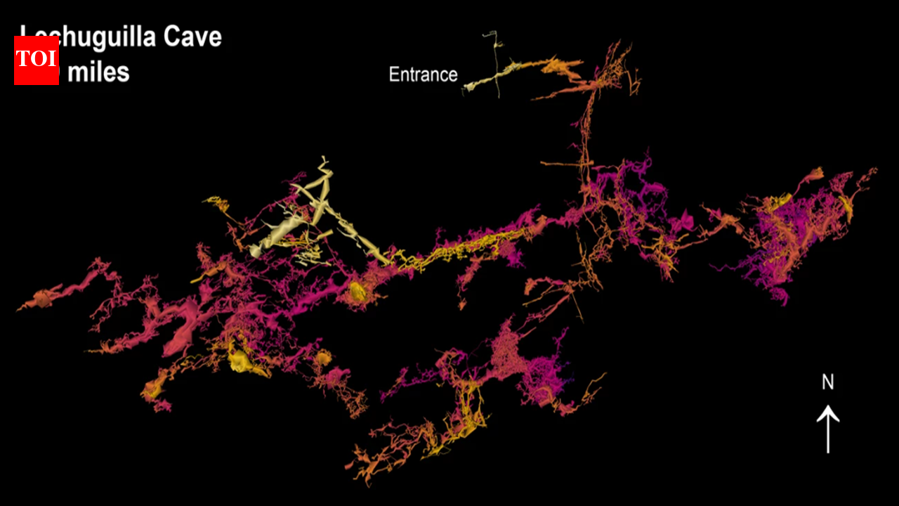 Cavers heard wind roaring from beneath a rubble-choked pit in New Mexico; after years of digging they broke through in 1986, and more than 145 miles of Lechuguilla Cave have since been mapped