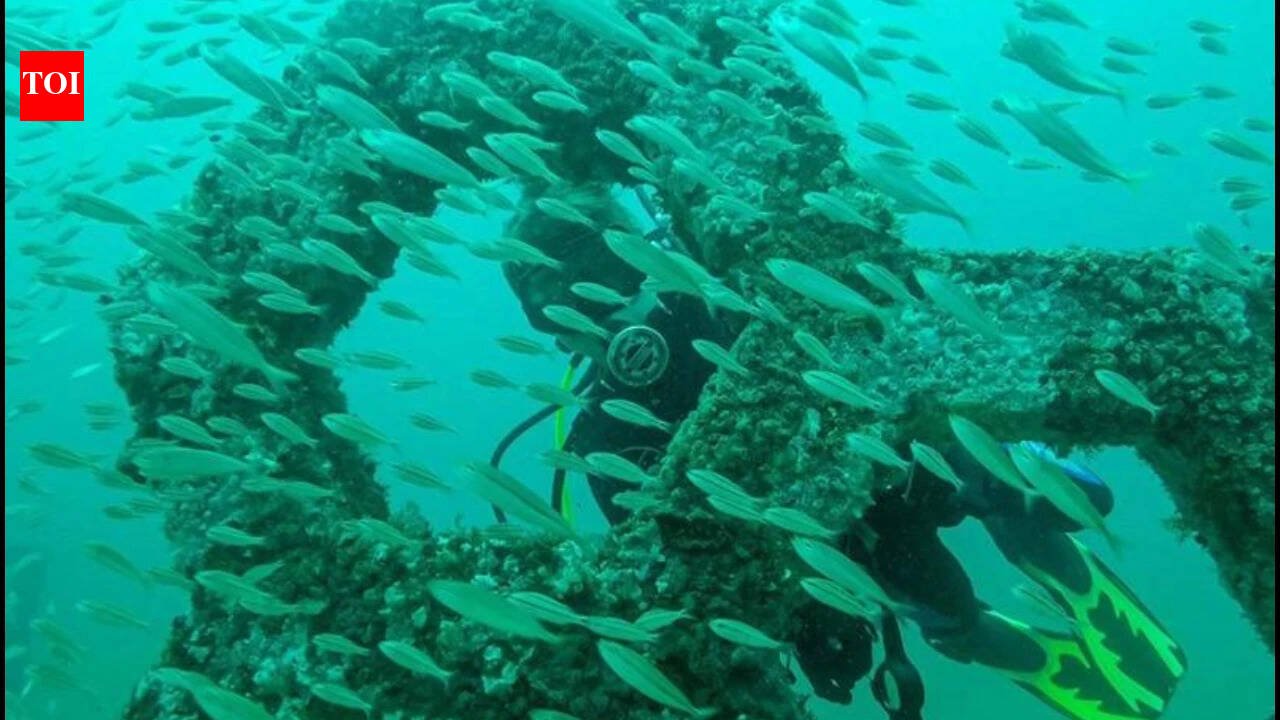 In 2018, Florida opened America’s first permanent underwater sculpture garden 58 feet below the Gulf; it has grown into a living reef where more than 100 species have been documented