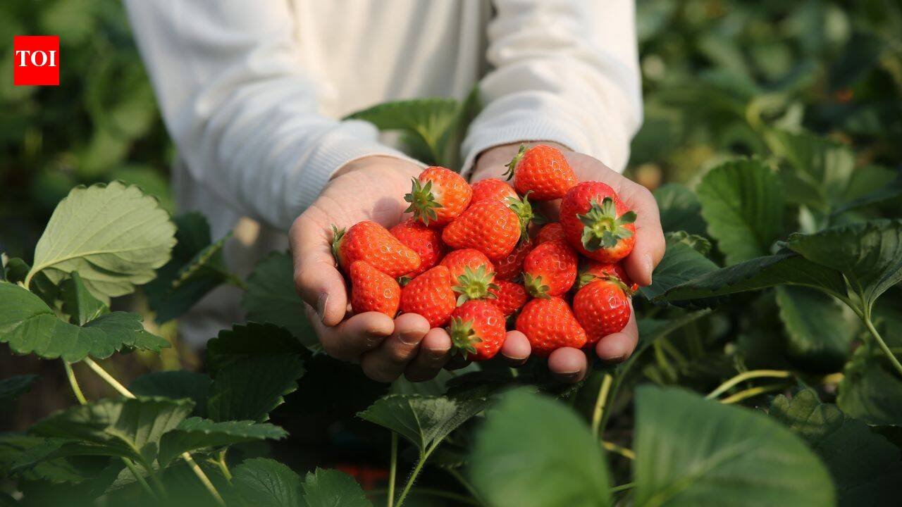 In 2024, a 192,560 sq ft industrial project won approval on 22 acres beside New Jersey’s Monmouth battlefield; two years later the state paid $15 million to preserve the former strawberry farm as part of the park