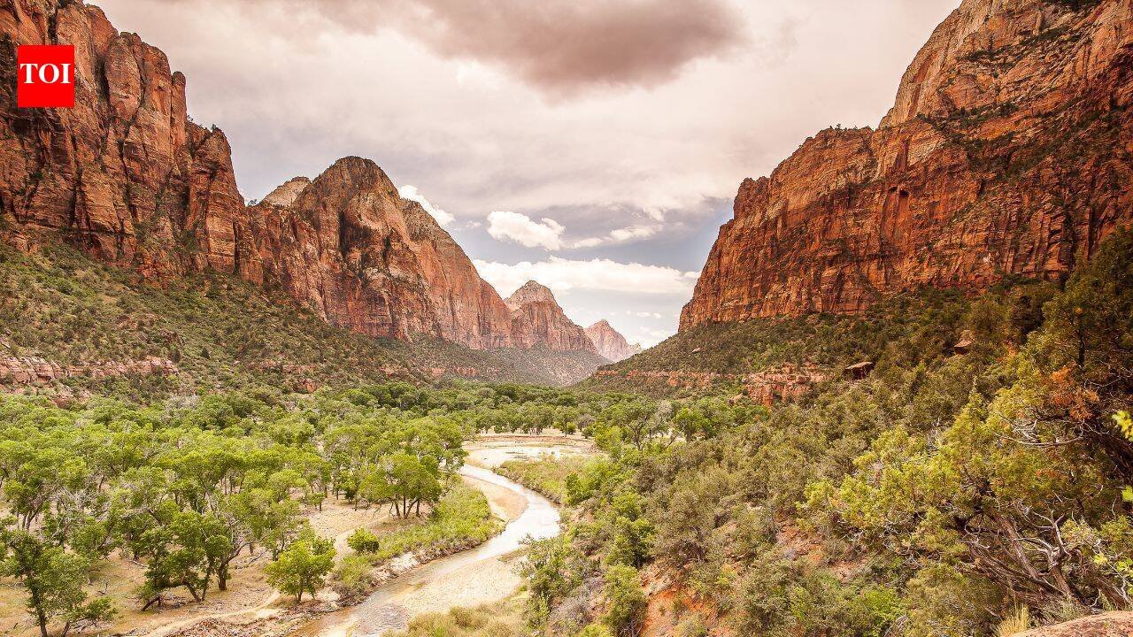 A private landowner has given up development rights on 145 acres beside Zion National Park; the land can no longer become hotels, condos or restaurants and will remain protected