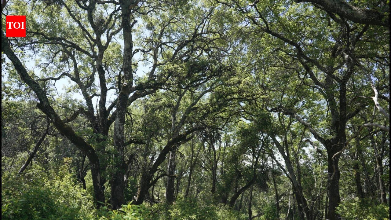 In 2005, a couple bought a 2,300-acre Napa ranch for $8 million; after a 17-year battle over plans for vineyards, the land was bought for $24 million and is becoming a public preserve