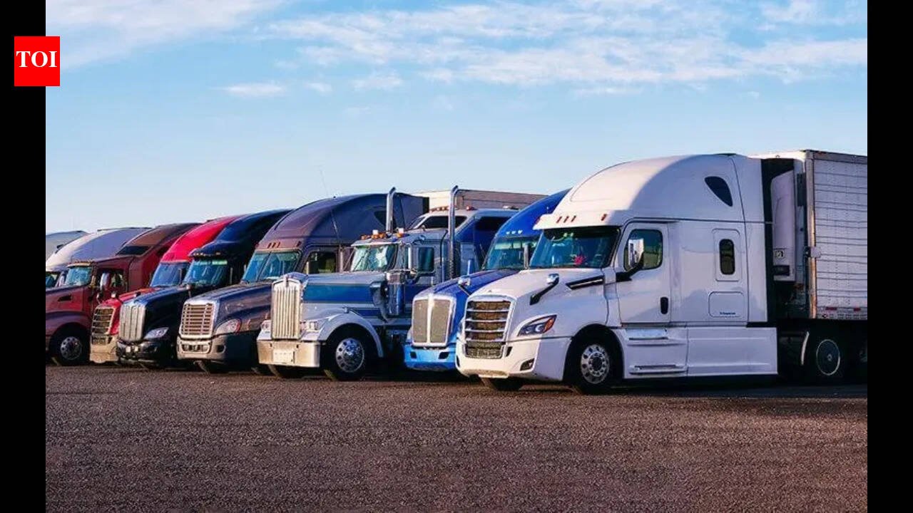 US announces emergency executive shutdown of 110 driving schools for 5000 violations: ‘No English, no trucking – it’s common sense’