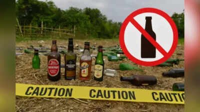 Bihar Alcohol Prohibition: Bihar should withdraw alcohol ban as it failed to curb crimes against women: Report | India News