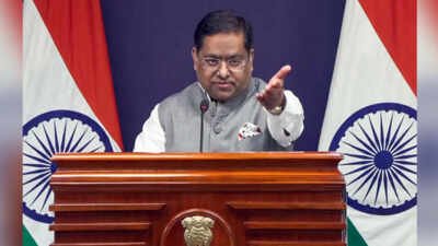 Border issue will reflect on bilateral ties: Delhi to Beijing | India News