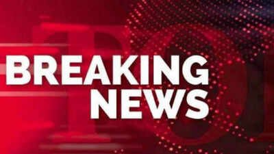 Panama-flagged cargo ship carrying 24 on board sinks off Odisha coast | India News