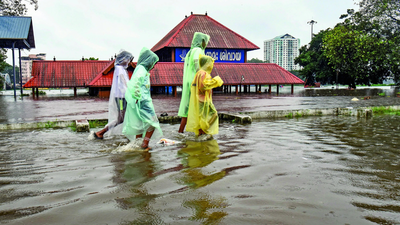 Monsoon hope as WMO sees an El Niño counter | India News