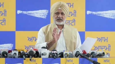 Punjab groundwater crisis shows signs of reversal, AAP cites rise in canal-water use | India News