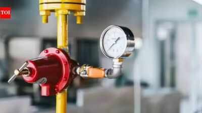 Only 20% LPG consumers applied for PNG connections | India News