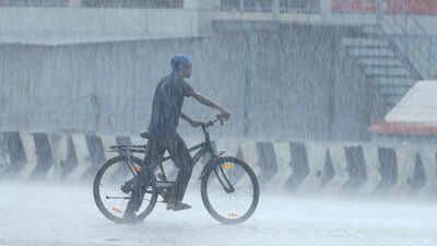 Recent rain has little impact on national monsoon deficit | India News