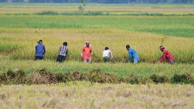 August rainfall fails to reduce India’s monsoon deficit | India News