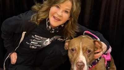 ‘Exorcist’ star Linda Blair’s California residence gets raided by Animal Control and others over 100-dog kennel operation |