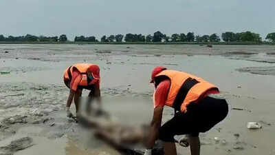 Nepal floods swept bodies 200km downstream, 3 found in UP | India News