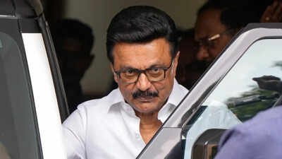 MK Stalin moves HC against TVK MLA VS Babu’s Kolathur win, seeks recount | India News