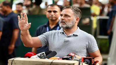 ‘Defeat delimitation’: In Tamil Nadu, Rahul Gandhi’s appeal to parties with ‘Ettappan’ warning | India News