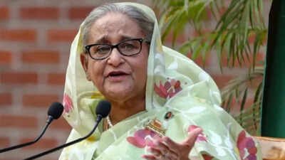 No government role, don’t endorse Hasina’s remarks at private media event: MEA | India News