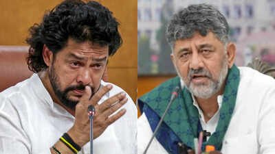 Nagendra resigned to avoid embarrassment to Congress: DK Shivakumar | India News