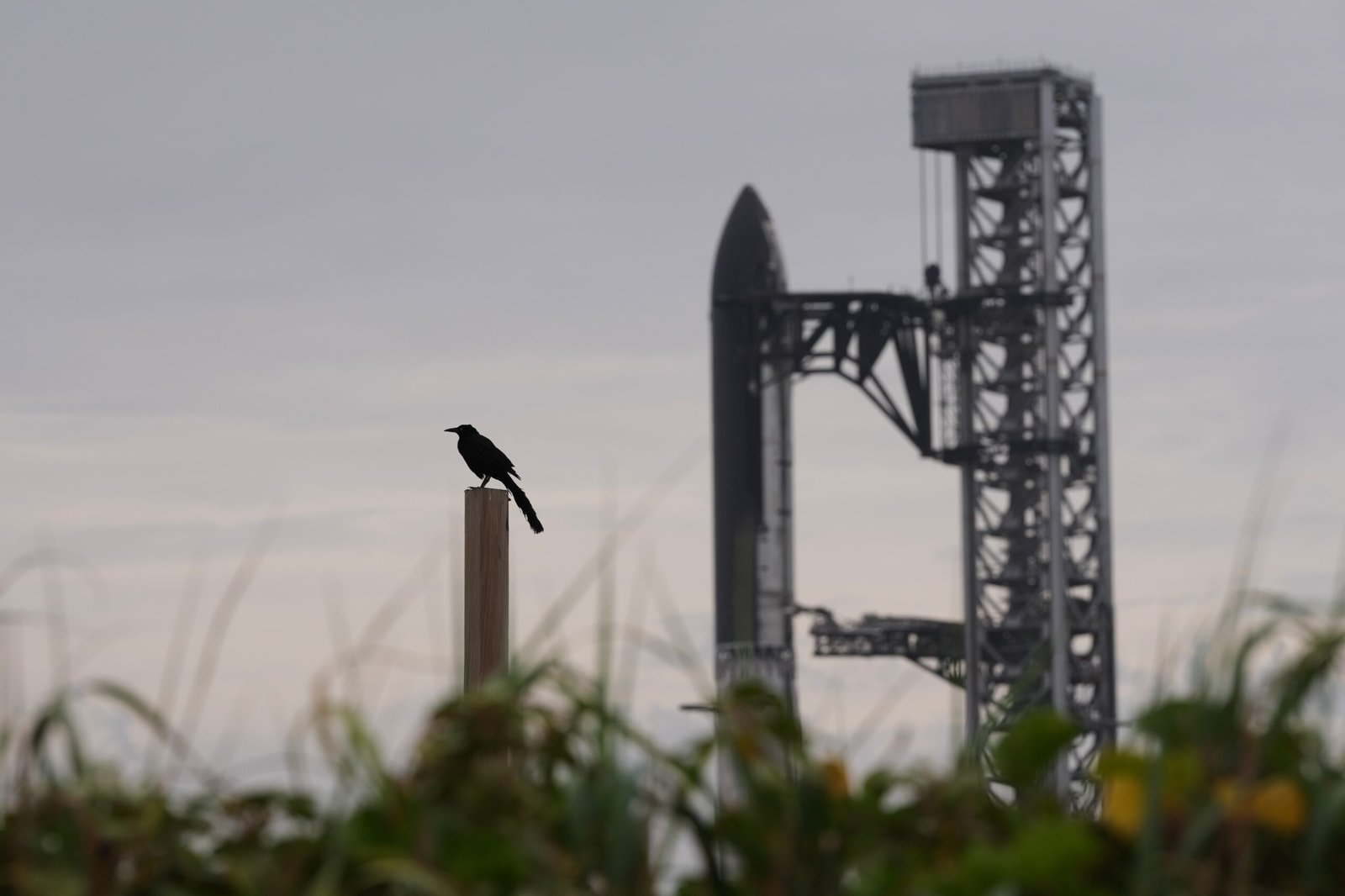 Louisiana bets on rockets as Trump targets environmental reviews