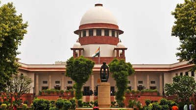 ‘Shouldn’t govt give employment?’ Supreme Court stays HC order on jobs for Karur stampede victims’ kin