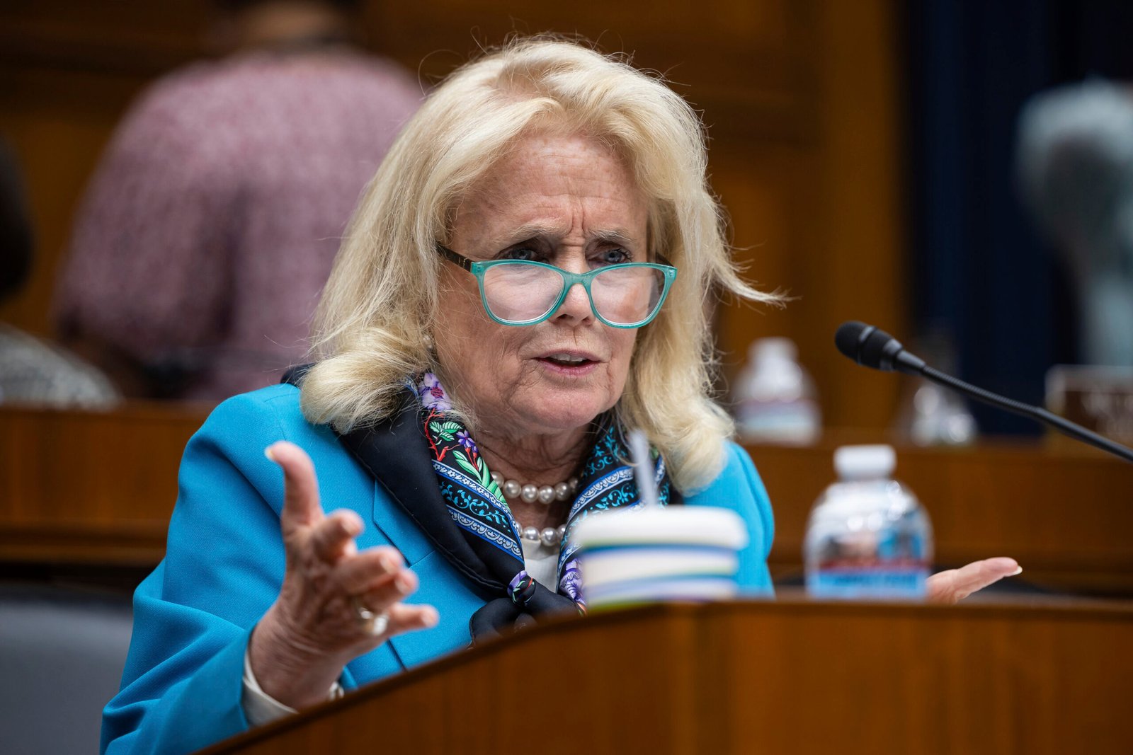House Democrat moves to reverse Trump’s ‘Lake America’ order