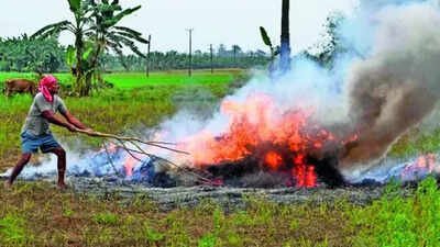 Stringent ‘red entry’ clause in land revenue record proposed to curb farm fires in Delhi-NCR and adjoining areas | India News