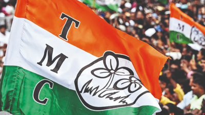 ‘We know what delay did in Shiv Sena’: On TMC symbol row, SC asks EC to set time limit for final decision | India News