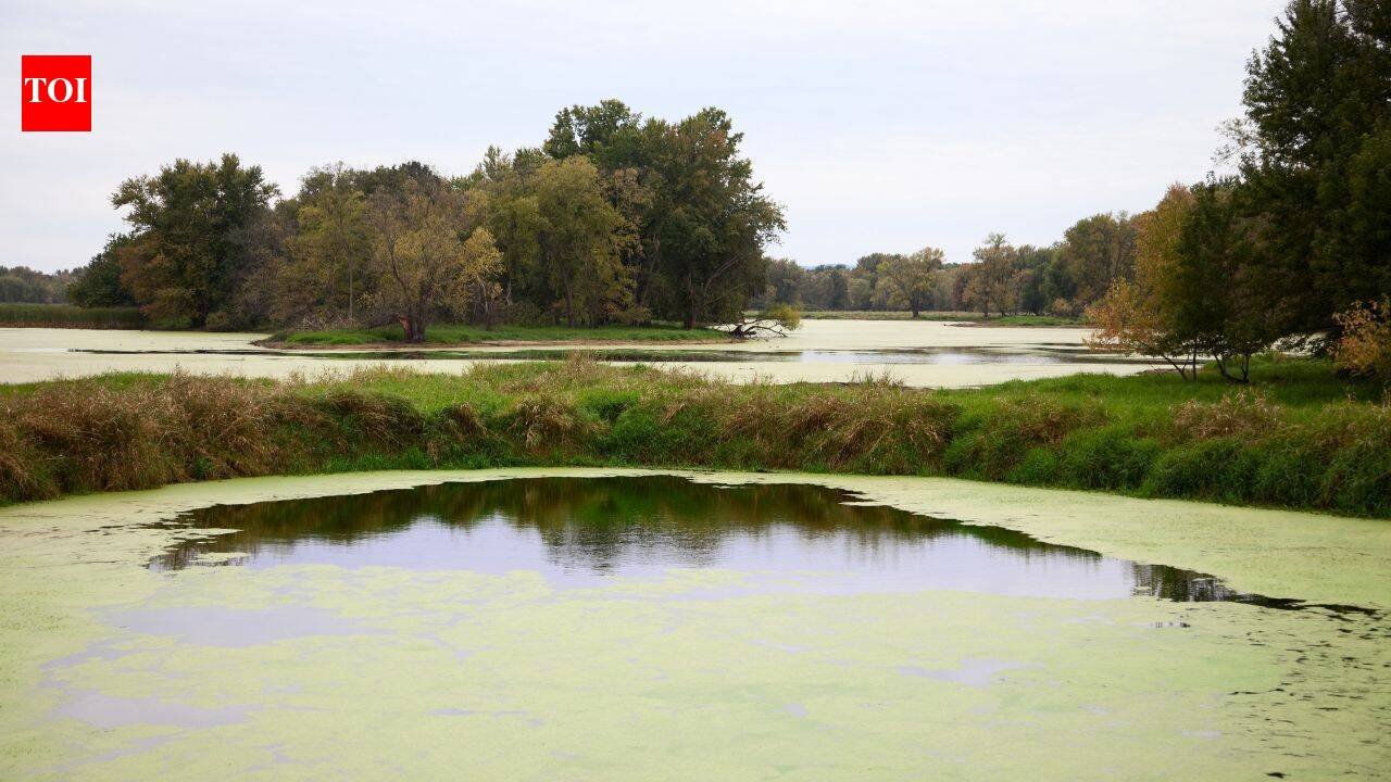 A Wisconsin farming family fought a 2016 tax change as nearly 2,000 floodplain acres became harder to farm; 10 years later, the land is being permanently protected
