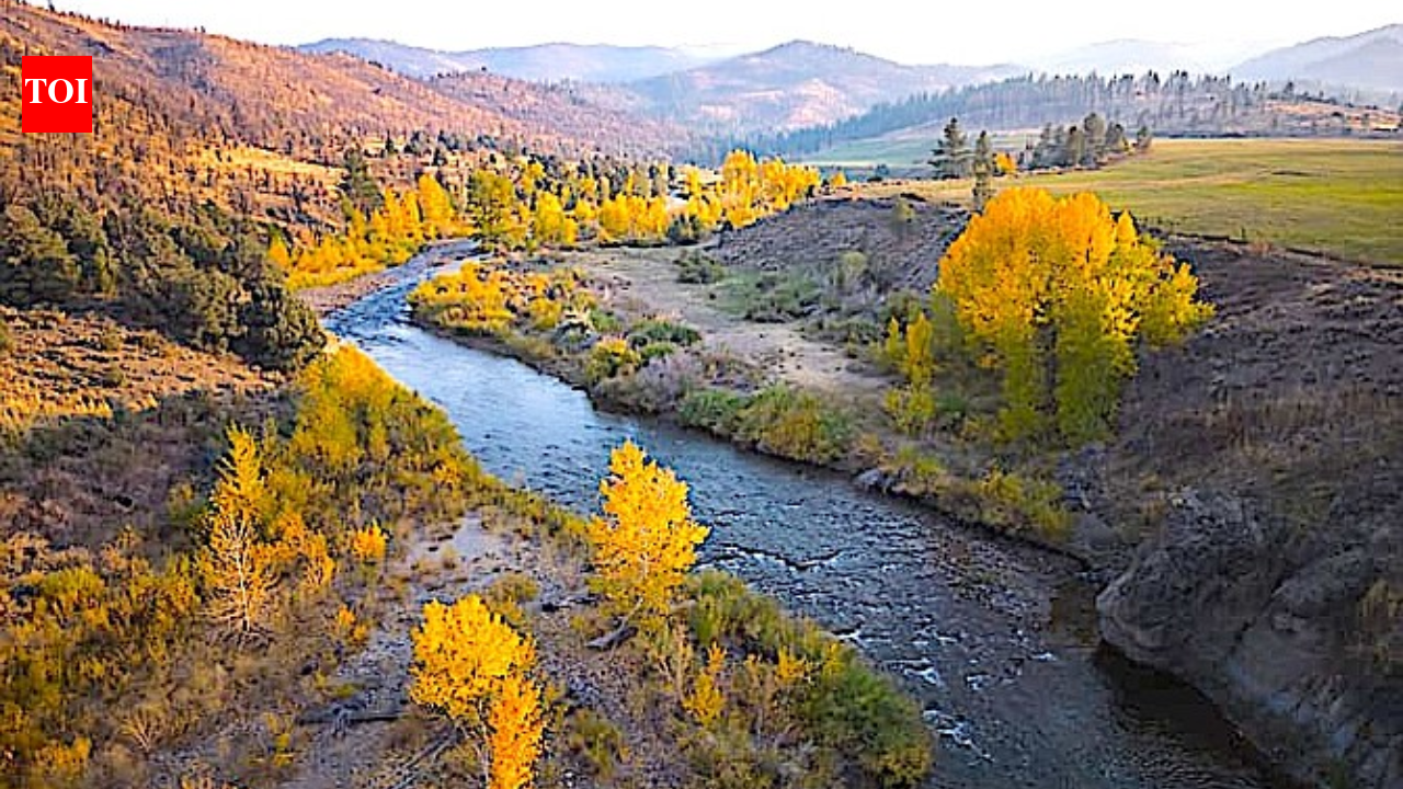 An $8 million grant helped transfer 1,688 California acres to public ownership; the ranch will protect 1.6 miles of an undammed river and a major wildlife corridor