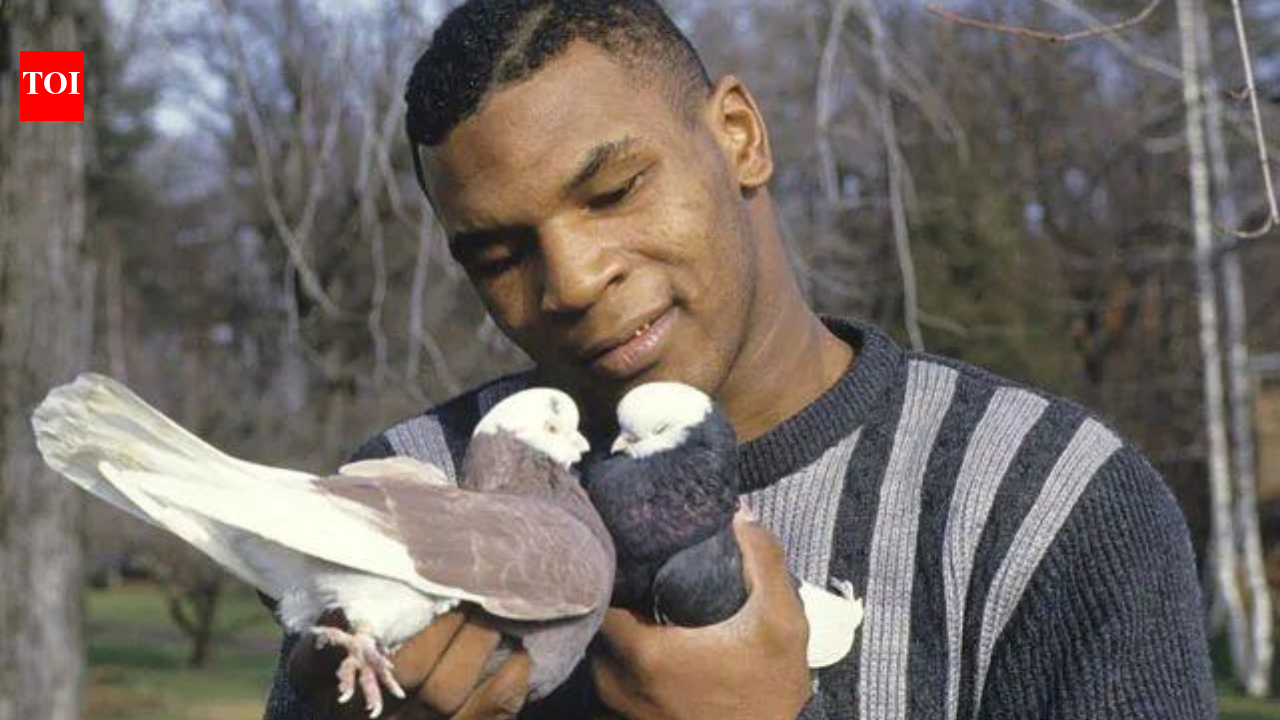 Mike Tyson started keeping pigeons as a bullied Brooklyn boy, finding love and comfort in them; decades later, he still has hundreds of birds across the US | World News