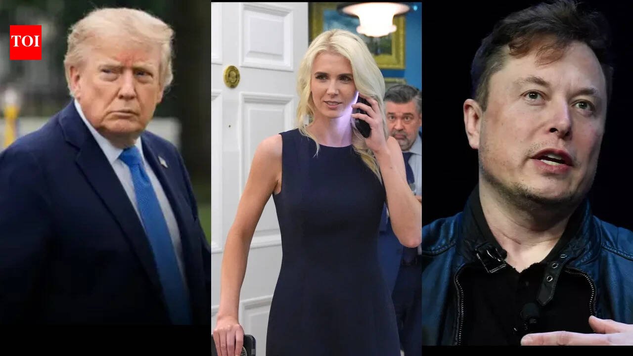 Natalie Harp came in, gave Trump a printout of Elon Musk’s post: Ted Cruz reveals how Trump vs Musk unfolded in front of his eyes, like a ‘hand grenade was thrown in the middle of everything’