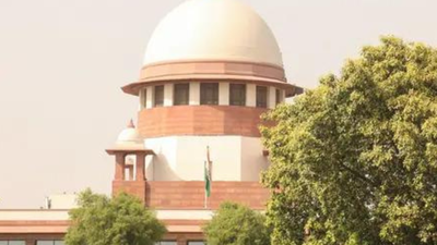 Poverty, inequality seed delinquency in minors: SC | India News