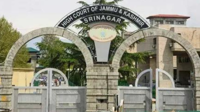 Possession of separatist literature no ground for PSA detention, rules J&K HC | India News