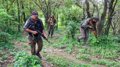 J&K Police identify slain terrorist as Pak national | India News