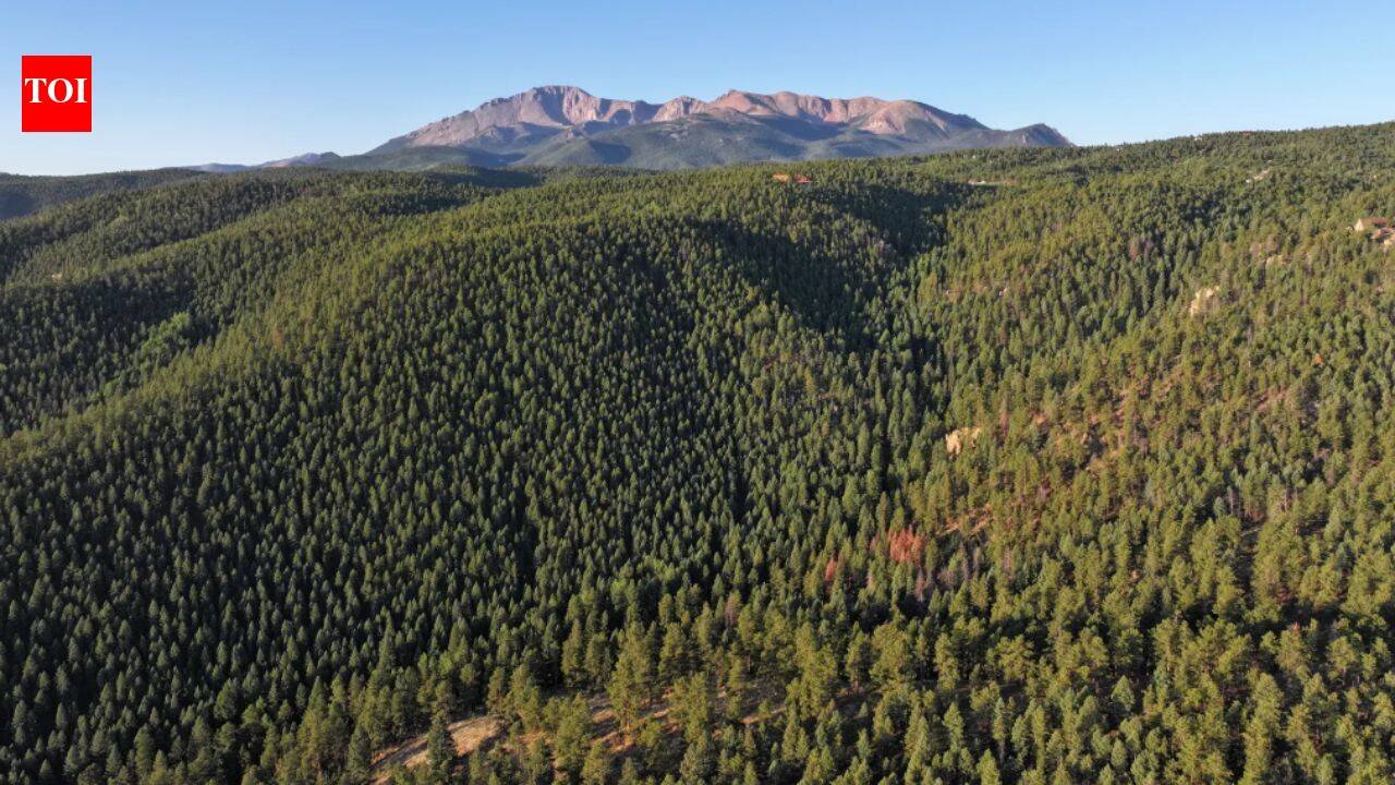 A 674-acre Colorado ranch was listed for $5.9 million as a development site; conservationists bought it instead, permanently protecting land that links to more than 100,000 acres of public space