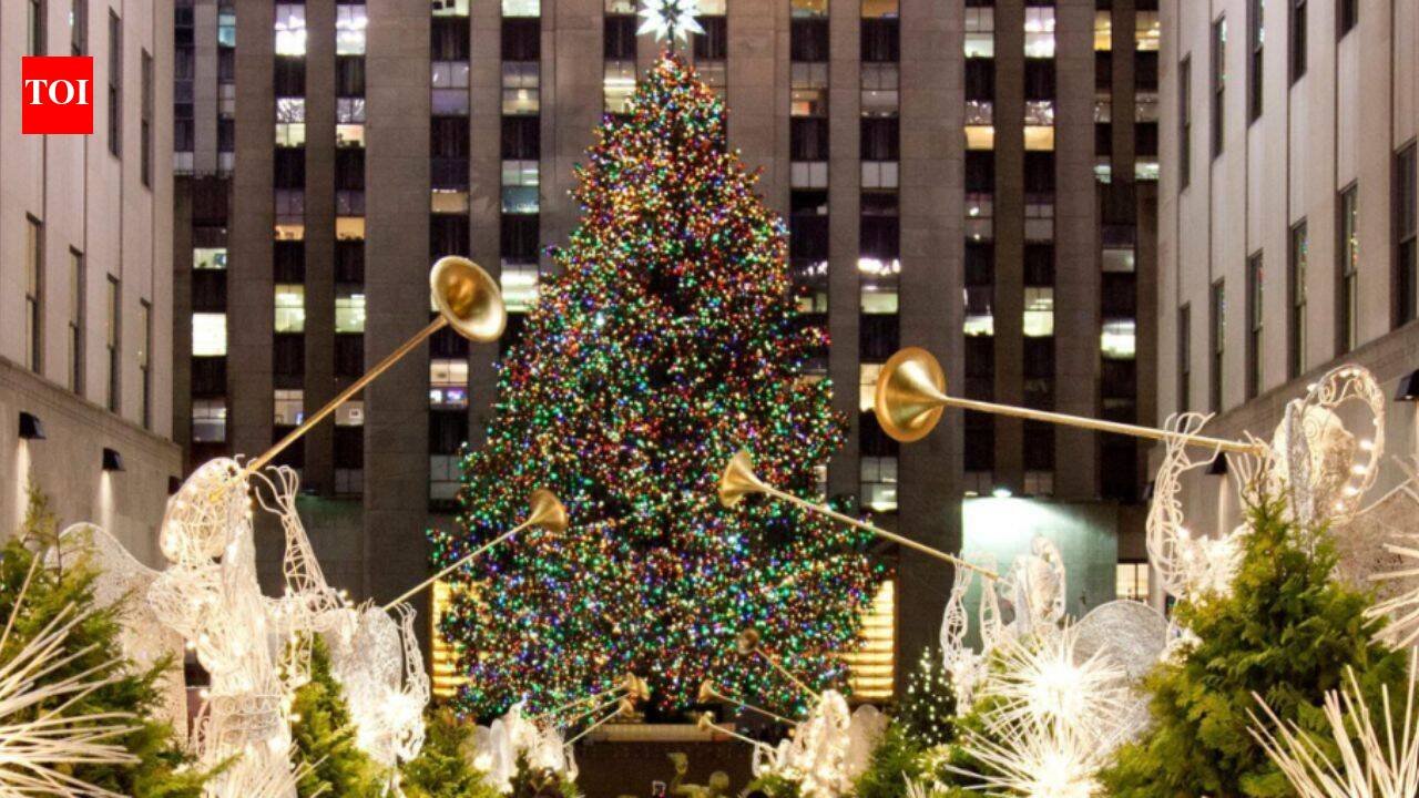 Since 2007, New York’s Rockefeller Center Christmas tree has been milled into lumber after the holidays; the wood has helped build Habitat homes from New York to Mississippi