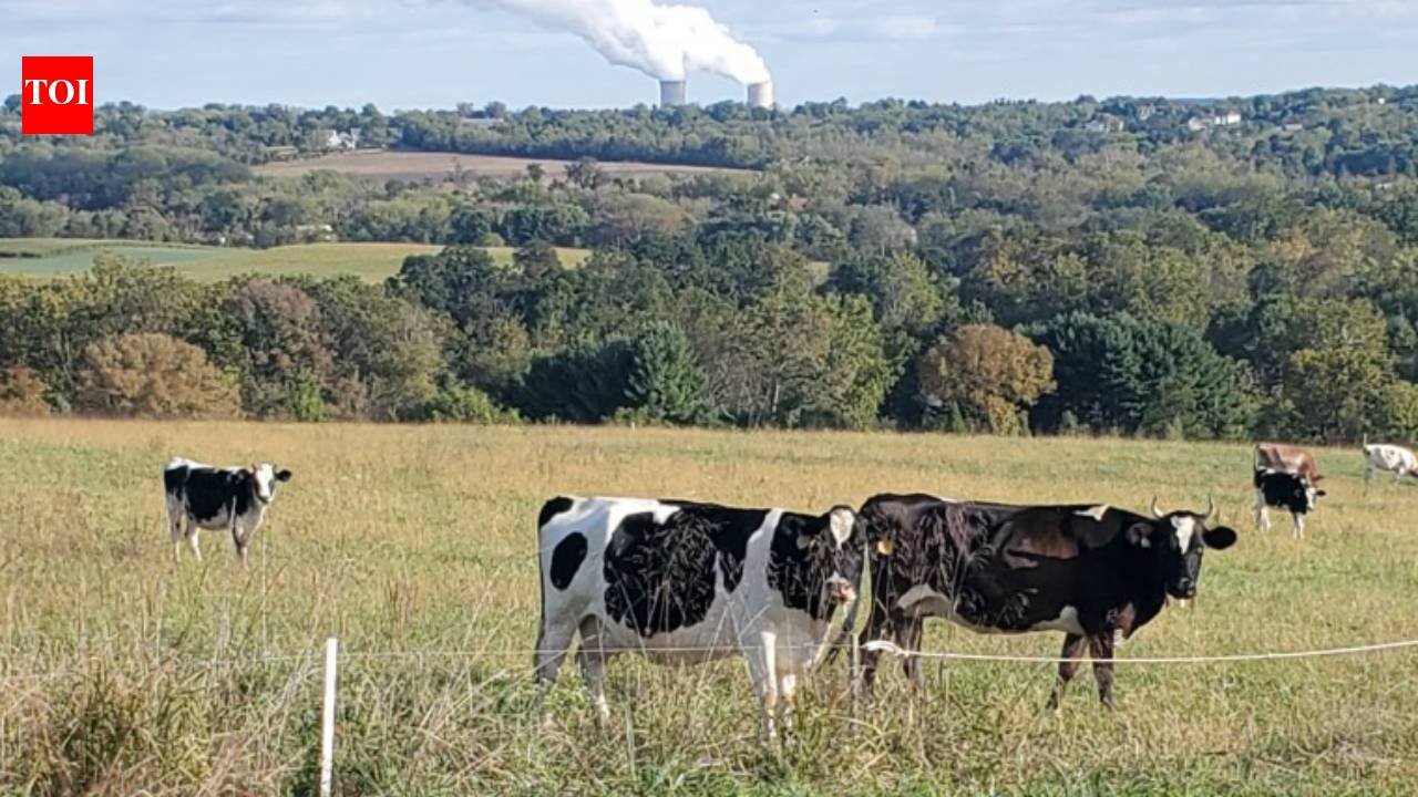 A Pennsylvania couple bought 78.3 acres in 2022 to stop development; their conservation work has helped eliminate plans for 88 houses and 21 condos