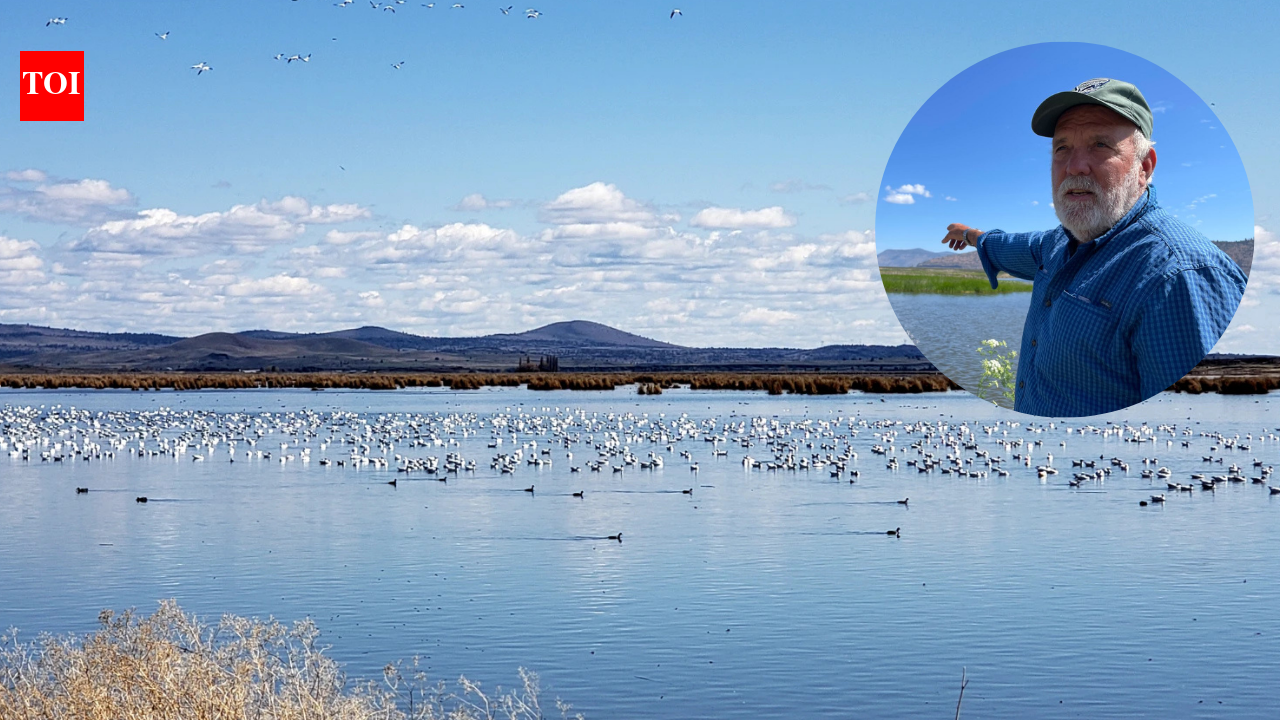 A farmer turned 70 acres of his Oregon barley farm into a wetland; now it hosts 140 bird species and endangered fish | World News