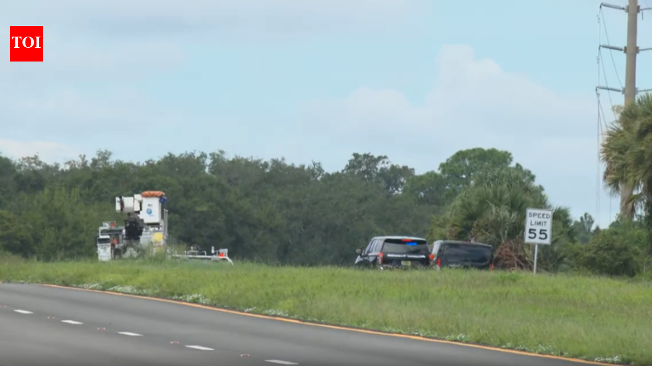Mooney M20F small plane crashes near Florida airport; pilot killed | World News
